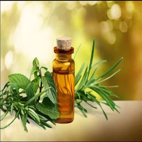 Tea Tree Essential Oil