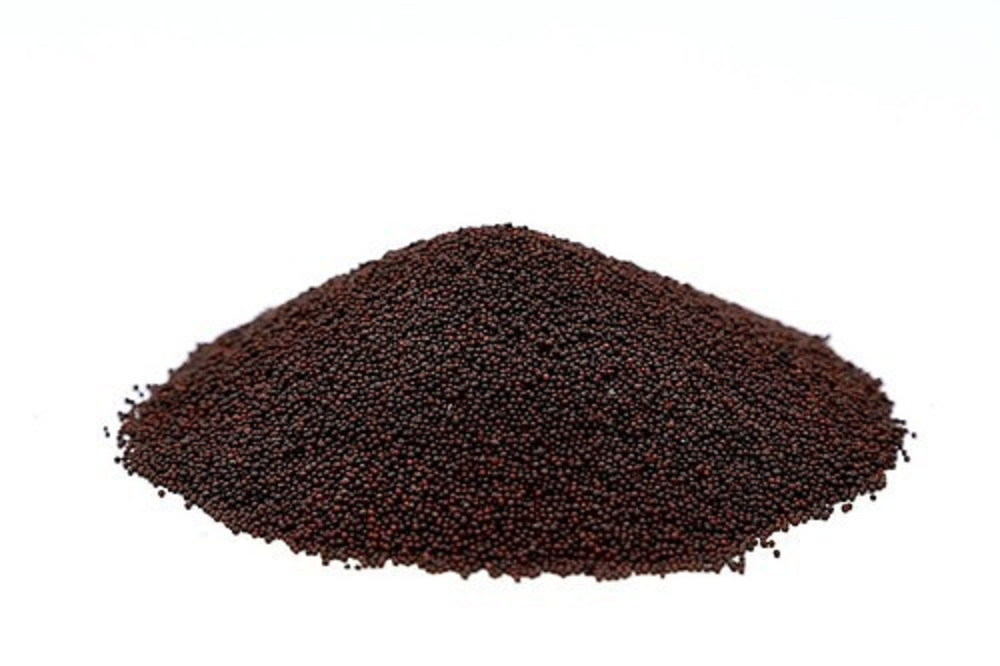 King Spicy Black Mustard Powder, Packaging Type: Packet, Packaging Size: 200g