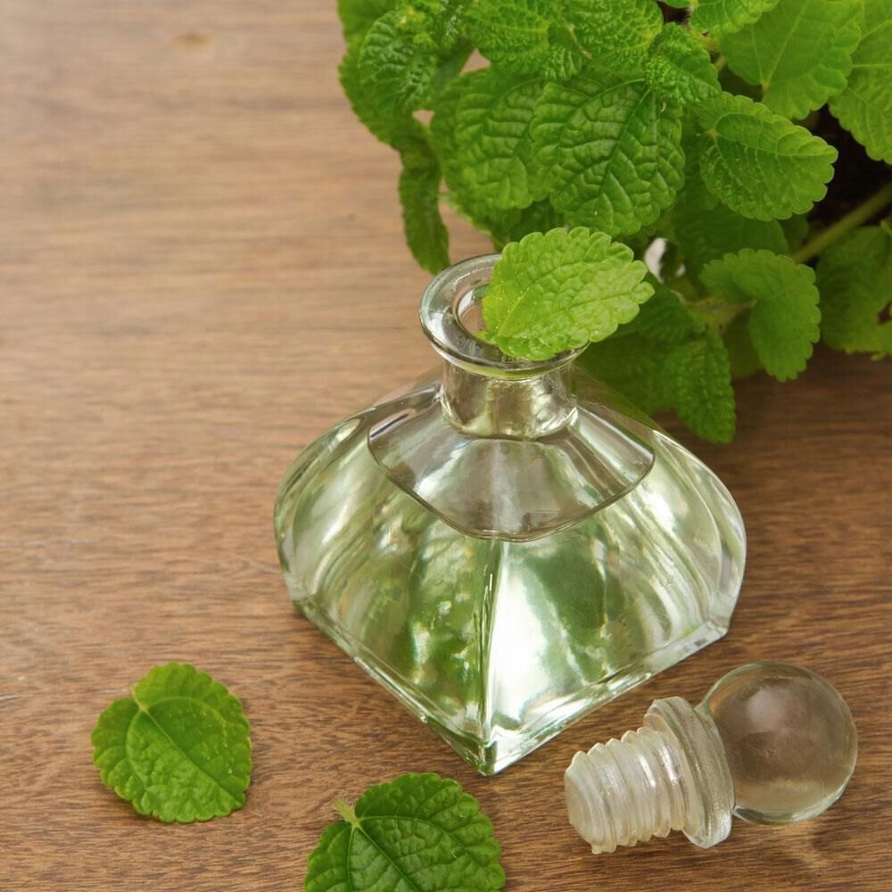 Mentha Citrata Oil, Purity: 100%, Loose