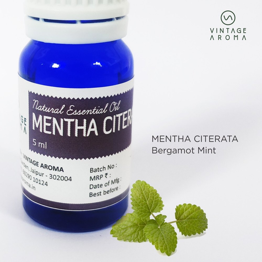 Bergamot Mint Oil, Packaging Size: 5 ml