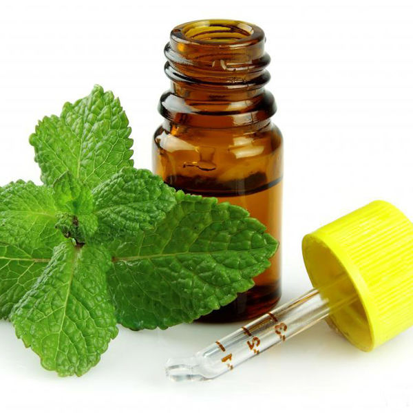 100 % Mentha Citrata Oil