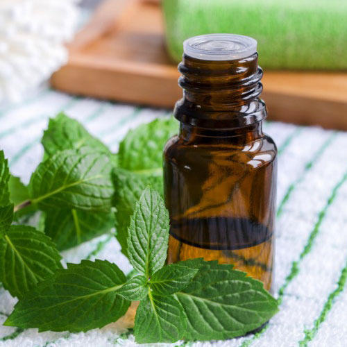 Mentha Citrata Oil, 100 ml