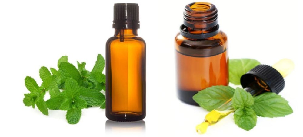 Menthol Citrata Oil, For Digestive Disorder