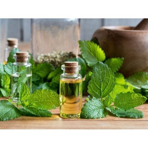 Lemon Melissa Oil
