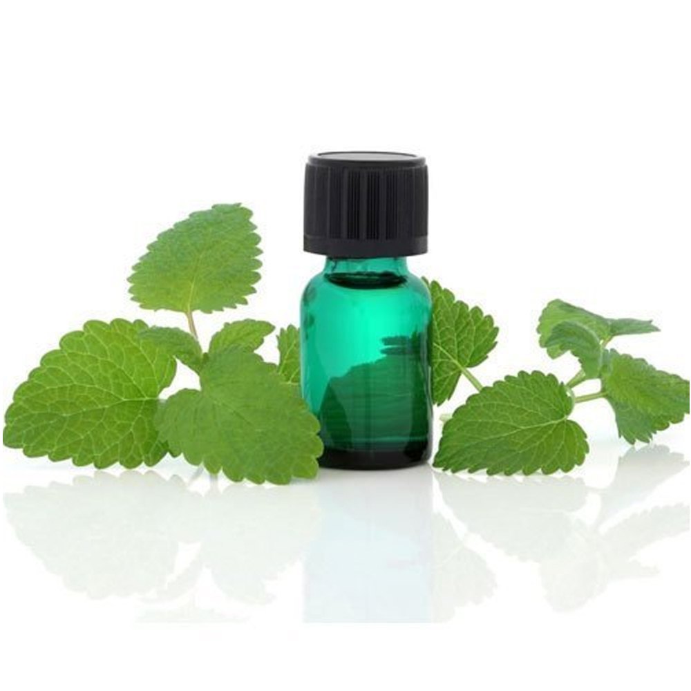 Vaibhav Perfumery Melissa Oil, 500 Ml, Treatment: Skin Care