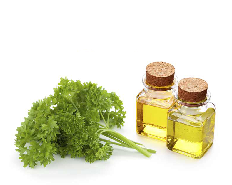 Parsley Seed Oil