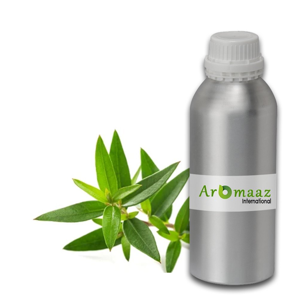 Liquid Backhousia Citriodora Lemon Myrtle Essential Oil