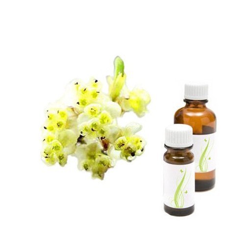100% Organic Certified Maychang / Litsea Cubeba Oil, Premium Grade