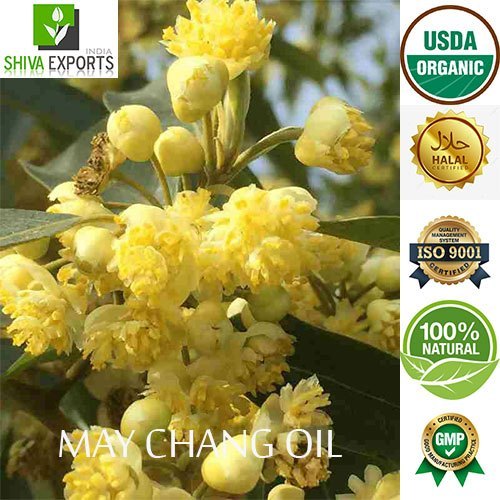 Liquid 100% May Chang Oil, For Fragrance, Natural