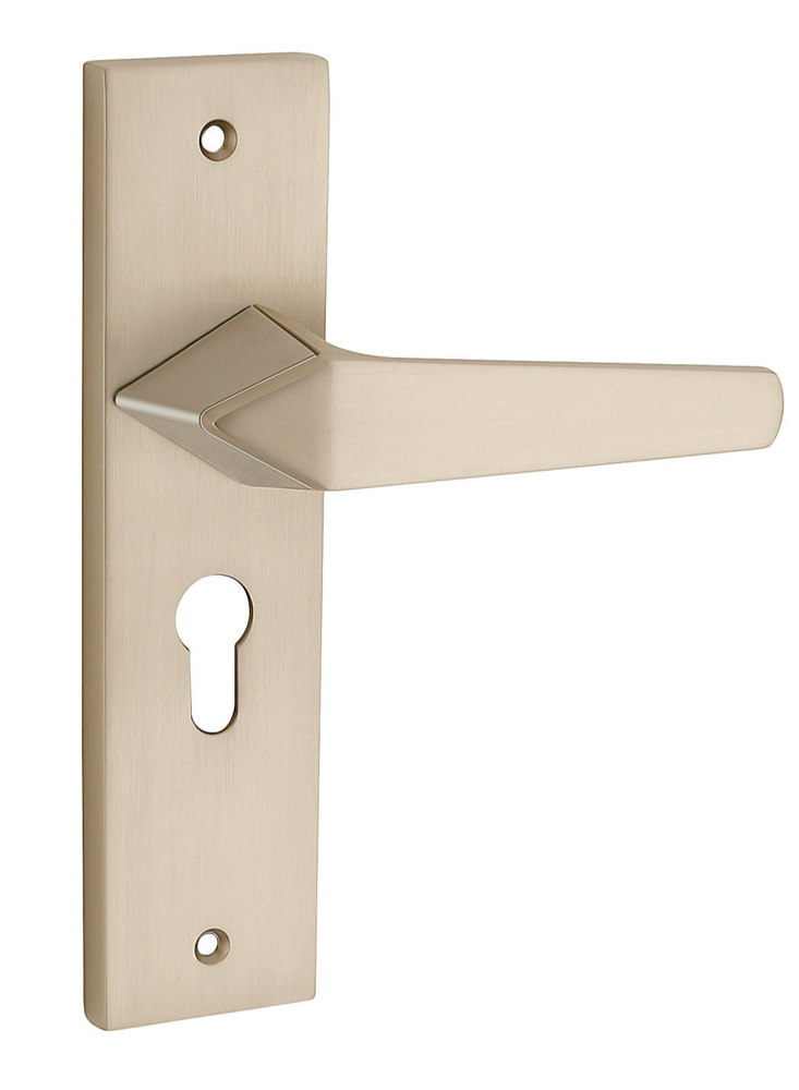 Stainless Steel Peru Allora Series Mortise Handle, For Door Fitting