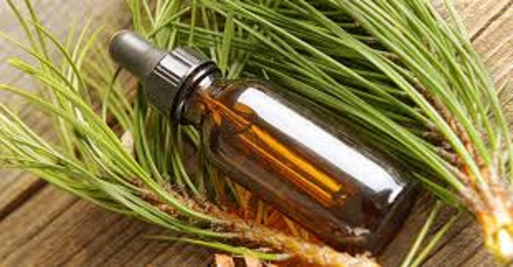 Peru Balsam Essential Oil