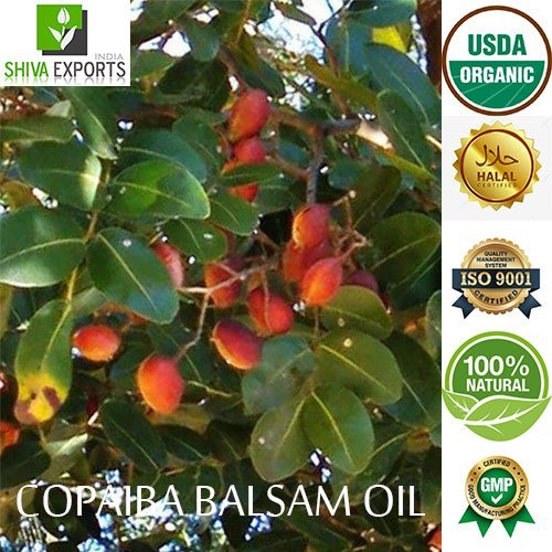 Copaifera Reticulata Extract Nut Copaiba Balsam Oil, For Cosmetics, Perfumes