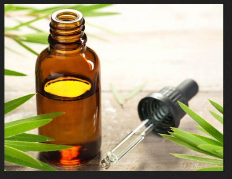 Liquid Niaouli Oil, Packaging Type: Bottle