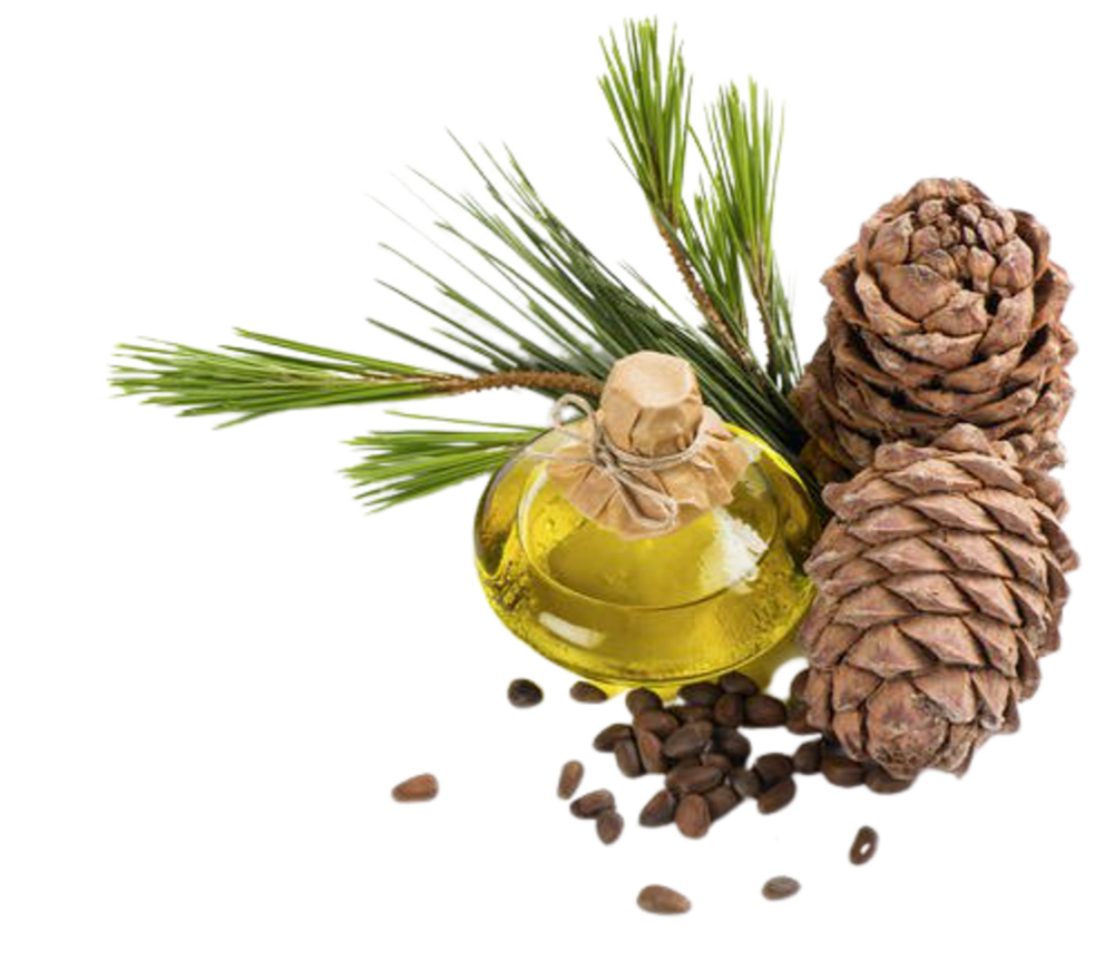 Cedarwood Oil ( Industrial Fragrance)