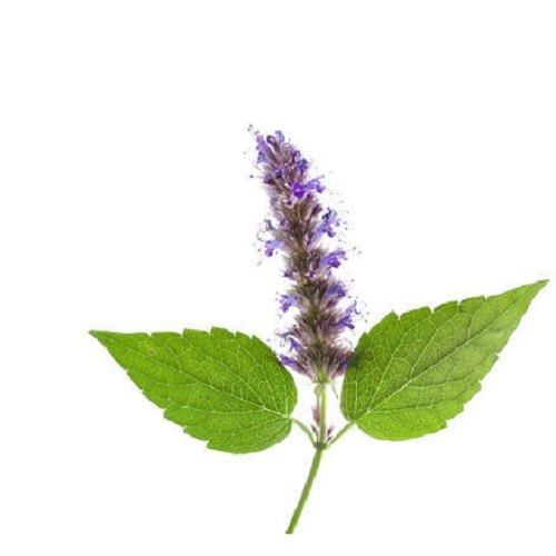 100% cosmetic Patchouli Fragrance Oil, Cosmetics, Packaging Size: 1kg