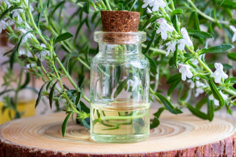 Savory Oil