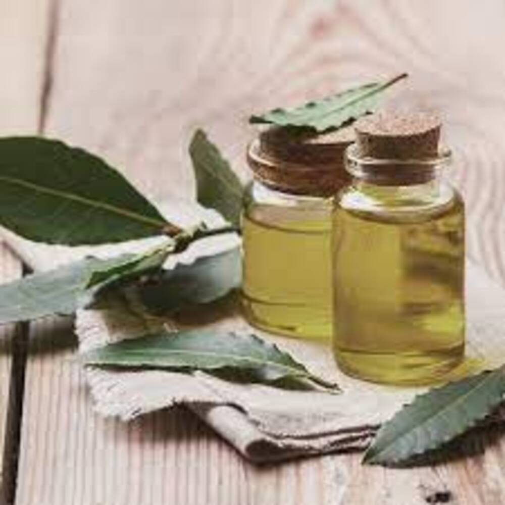 Laurus Nobilis Liquid Laurel Leaf Oil