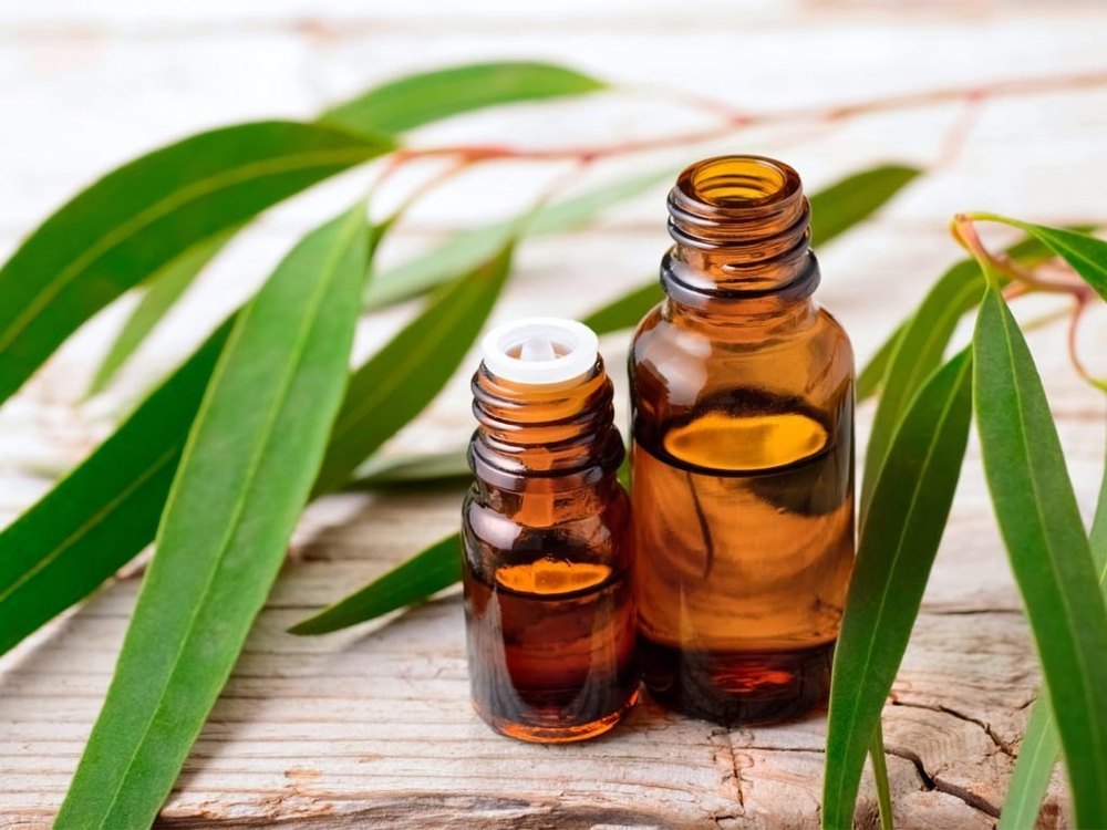 Pale Yellow Liquid Eucalyptus Essential Oil, For Medicine