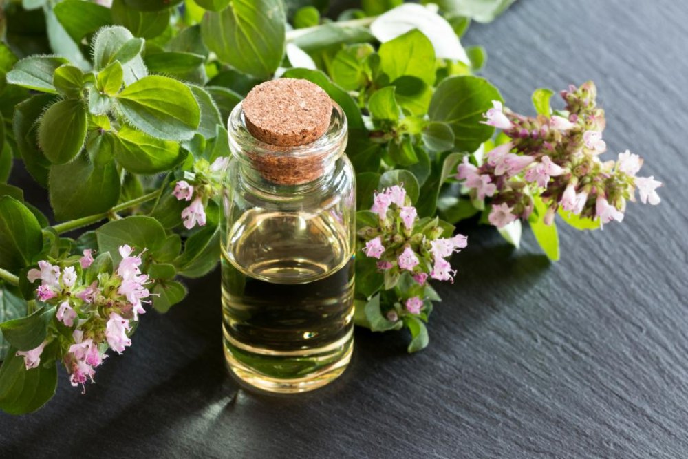 KS Essentials Liquid Oregano Oil, For Skin Care, Packaging Size: 1 Litre To 180 Litre