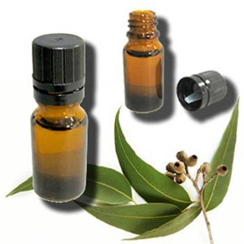 100% Natural Eucalyptus Essential Oil