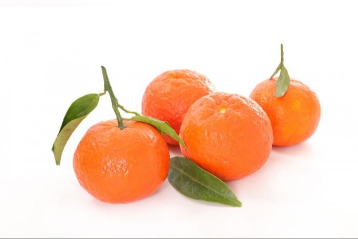 Katyani Exports Cold Pressed Clementine Oil for Aromatherapy