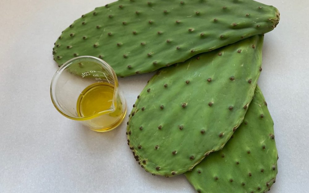 Prickly pear seed oil, For Pharma, Packaging Size: 5 Kg