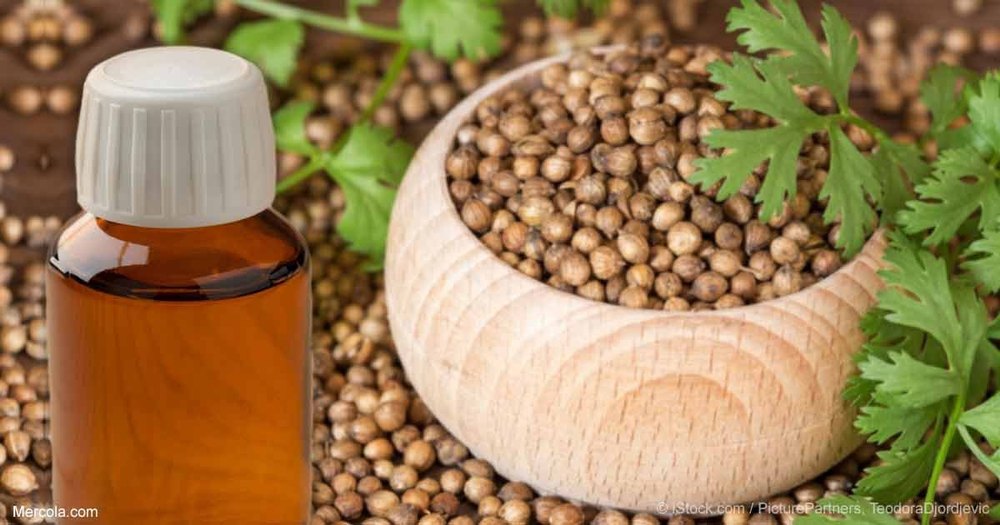 Steam Distillation Liquid Organic Coriander Essential Oil, For Multi Purpose