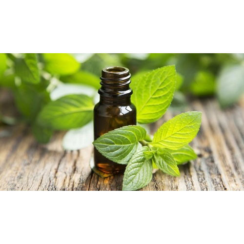 Peppermint Oil