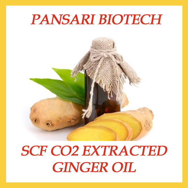 Ginger CO2 Oil (SCFE)