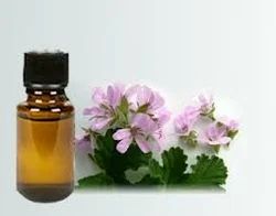 Geranium Essential Oil