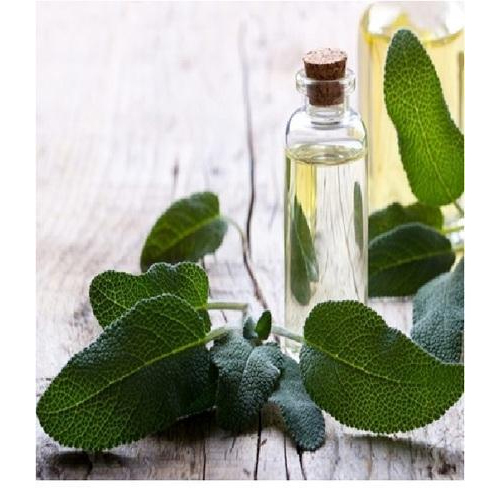 Sage Essential Oil