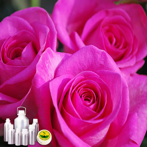 Rose Otto Essential Oil