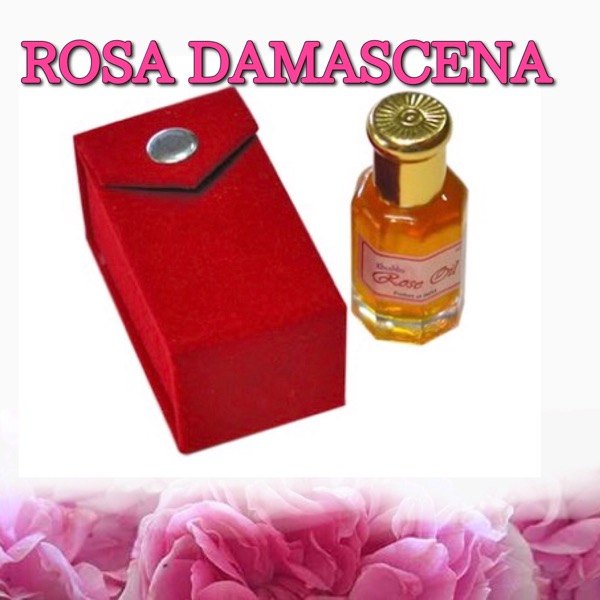 100% Clear to Pale Yellow Rose Damascena Absolute Oil