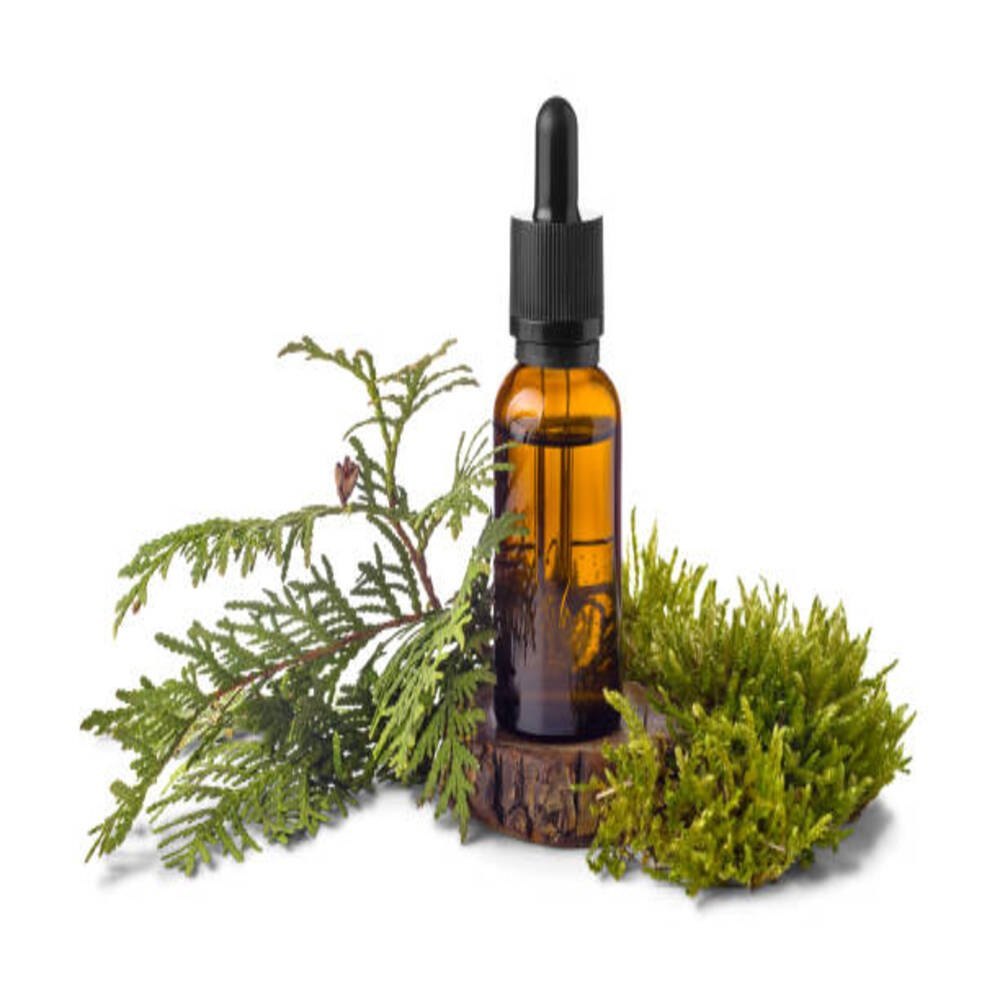 Cedarleaf (Thuja) Floral Waters