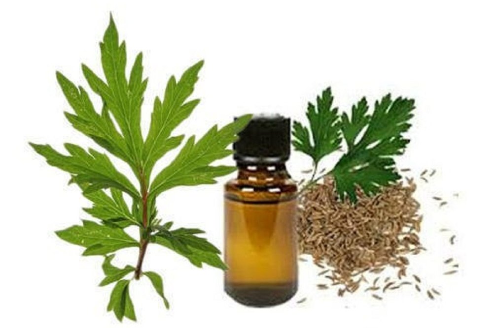 Davana Essential Oil