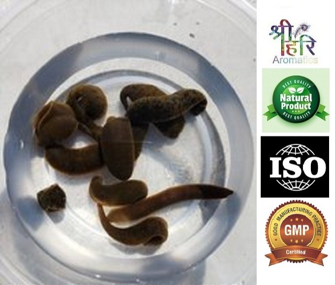 Brown Leech Liquid Extract, Packaging Type: in Plastic Container, Packaging Size: 1KG