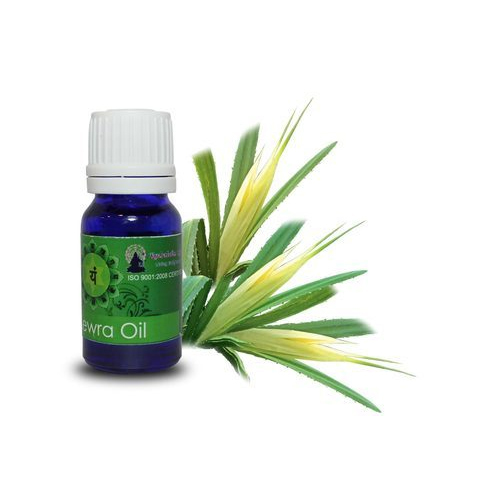 Kewra Oil