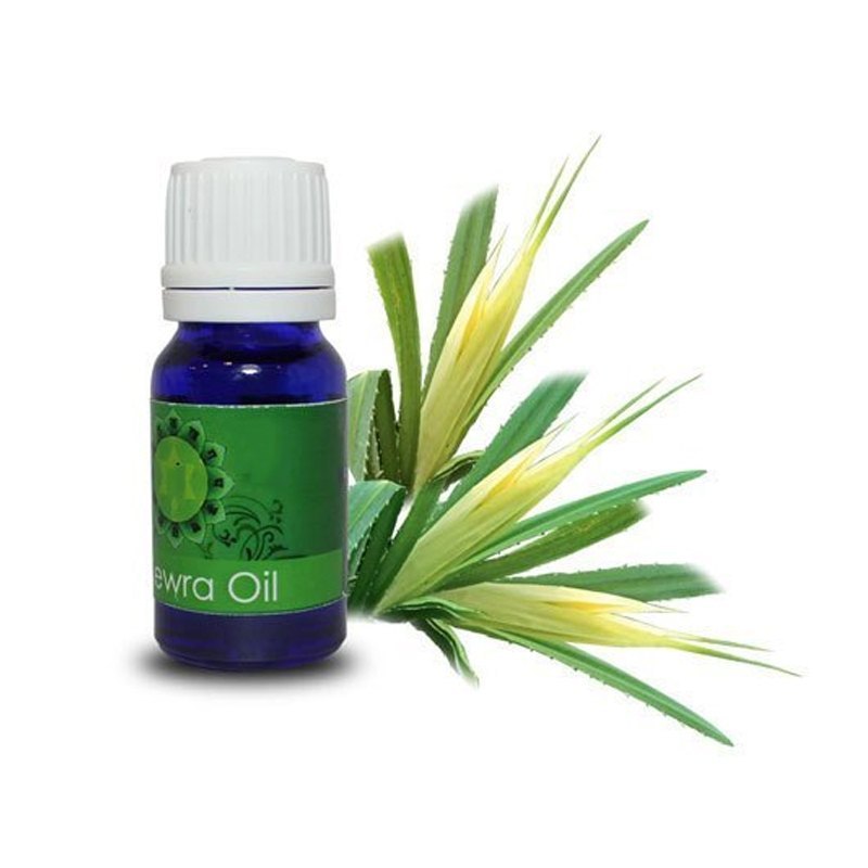 Pale Yellow Steam Distillation Kewra Oil, For Personal