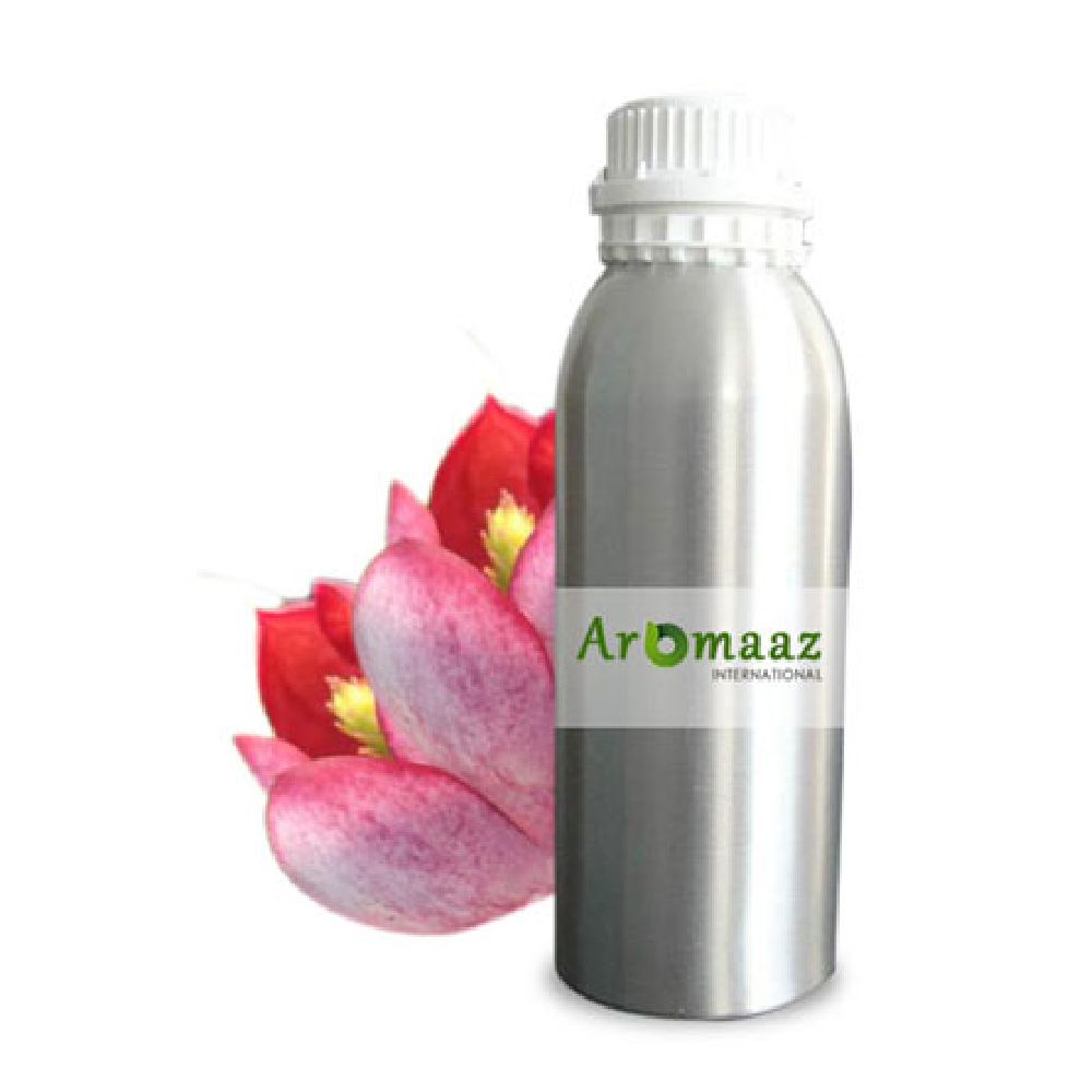 Liquid Dianthus Caryophyllus Red Champaca Floral Absolute Oil, For Cosmetic, 500 ml To 180 Ltr