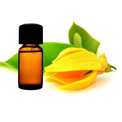 99% Cananga Odorata Ylang Ylang Oil, For Medicinal