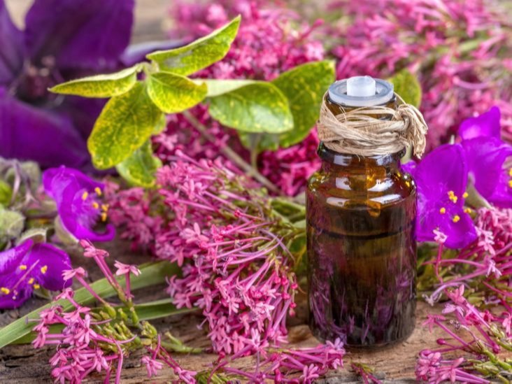 Celery Sage Oil