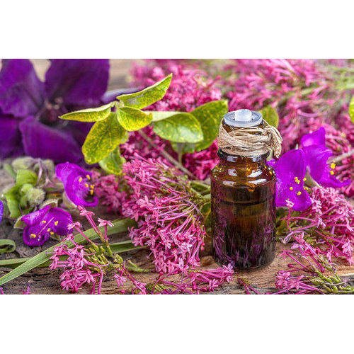 CLARY SAGE OIL