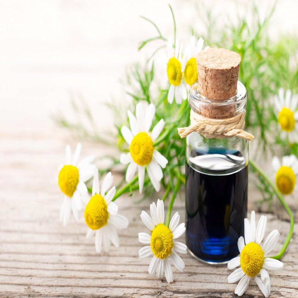 Matricaria recutica L Flowers Chamomile (Blue) Oil