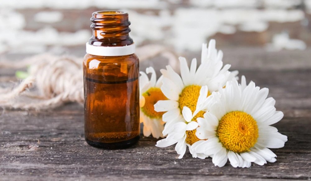 Chamomile Essential Oil