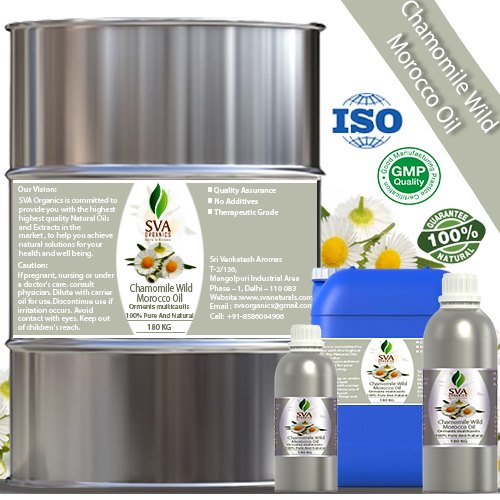 Chamomile Wild Morocco Oil