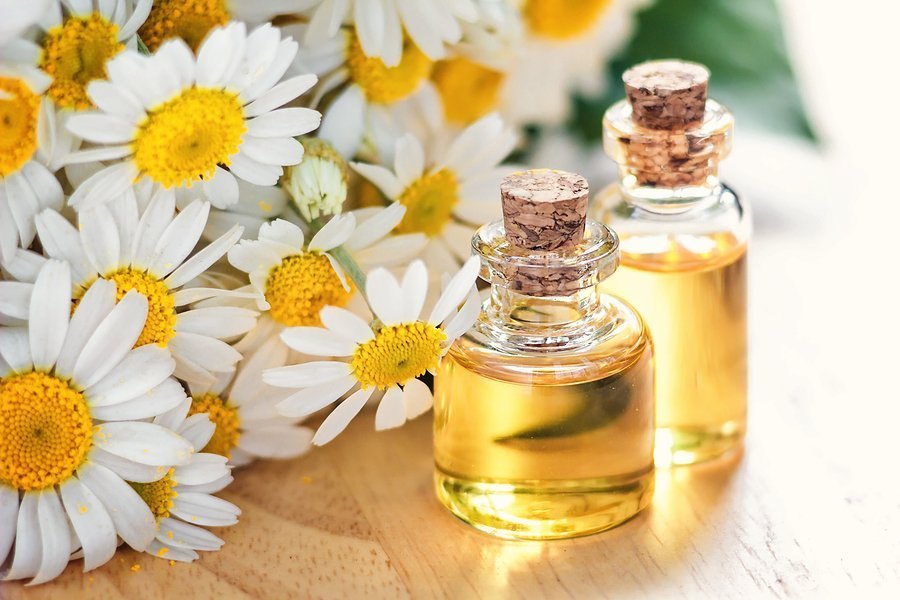 Steam Distillation Sweet, Woody Chamomile Oil, Packaging Type: Bottle, Drum