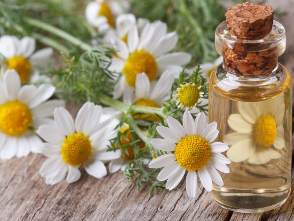 95% Flowers Chamomile Essential Oil, For Fragrance, Natural