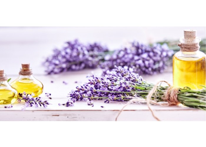 Liquid Prunus Armeniaca NAL Air Care Potpourri Essential Oil