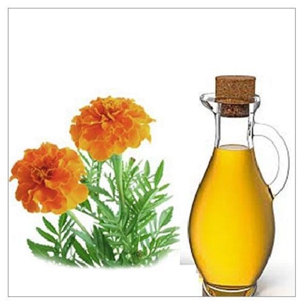 Liquid Tagetes minuta Tagetus Oil