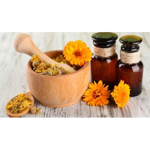 Steam Distillation Tagetes Essential Oil